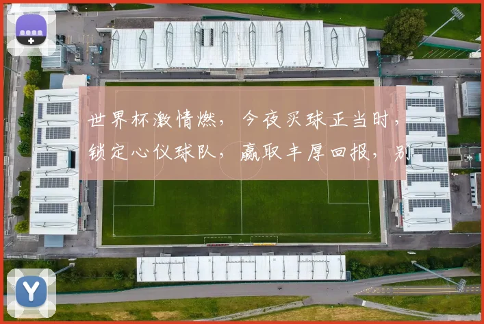 世界杯激情燃，今夜买球正当时，锁定心仪球队，赢取丰厚回报，别错过