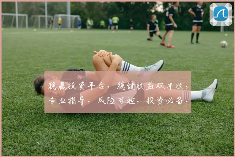 稳赢投资平台，稳健收益双丰收，专业指导，风险可控，投资必备，不容错过