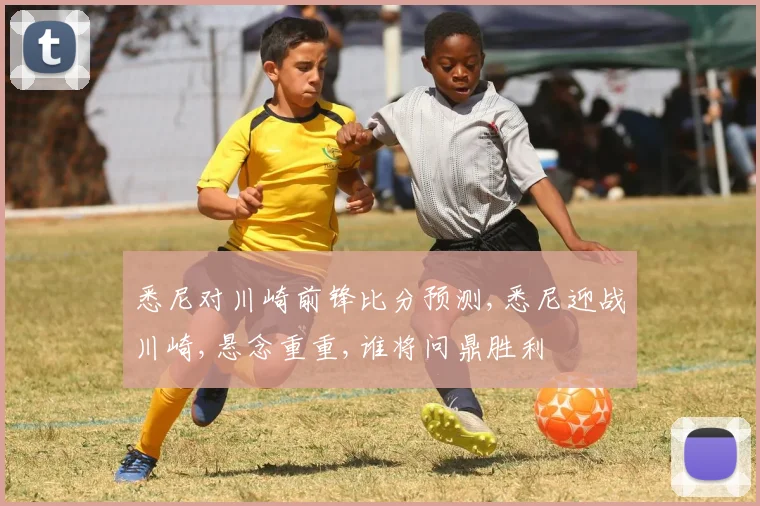 悉尼对川崎前锋比分预测,悉尼迎战川崎,悬念重重,谁将问鼎胜利