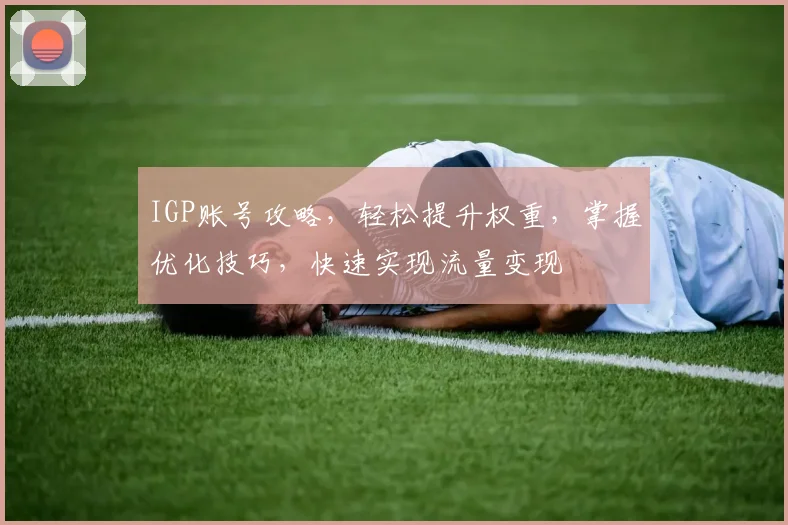 IGP账号攻略，轻松提升权重，掌握优化技巧，快速实现流量变现