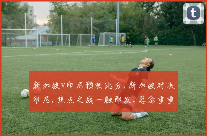 新加坡v印尼预测比分,新加坡对决印尼,焦点之战一触即发,悬念重重