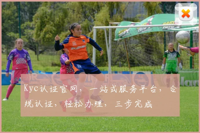 Kyc认证官网，一站式服务平台，合规认证，轻松办理，三步完成