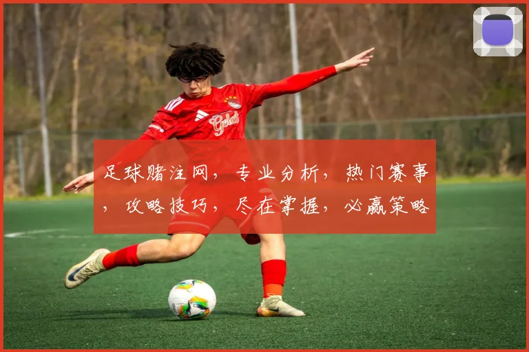 足球赌注网，专业分析，热门赛事，攻略技巧，尽在掌握，必赢策略，一网打尽