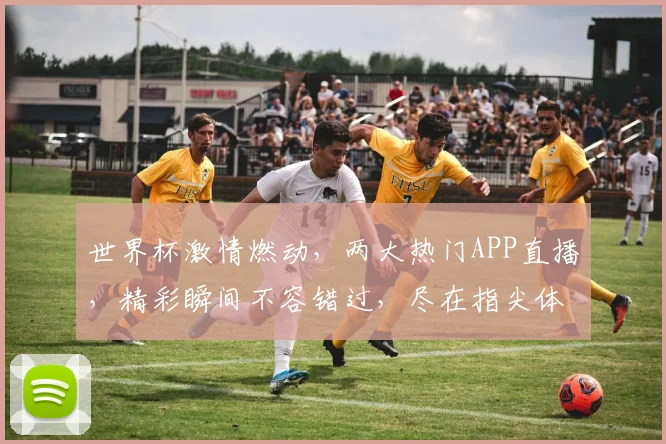世界杯激情燃动，两大热门APP直播，精彩瞬间不容错过，尽在指尖体验